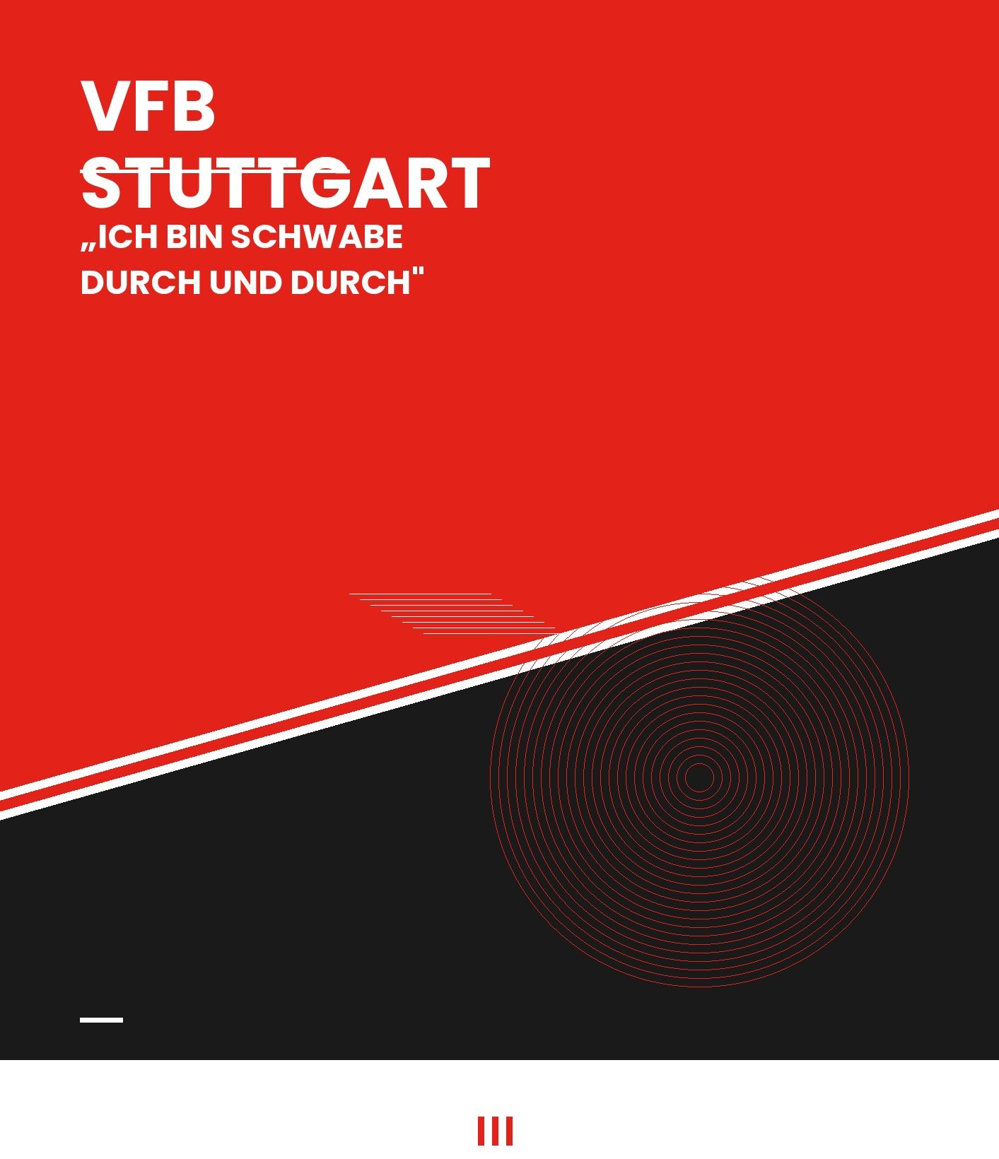 Akte Stuttgart — Club-Dossier VfB Stuttgart